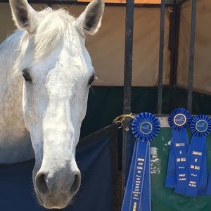 Meet your Posher, Sasha